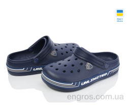 Кроксы Golden Lion